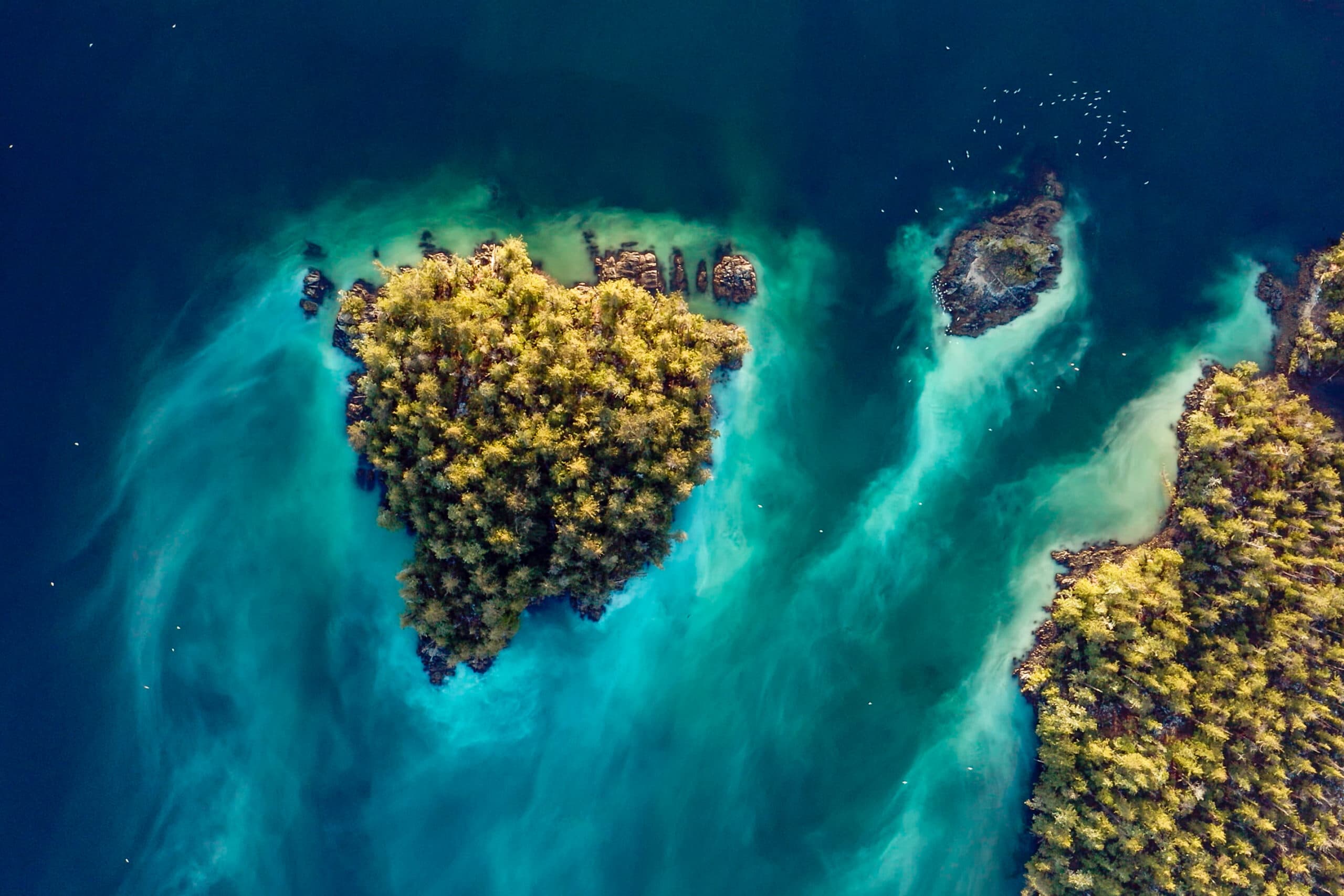 KXSA-MoonfishMedia-2