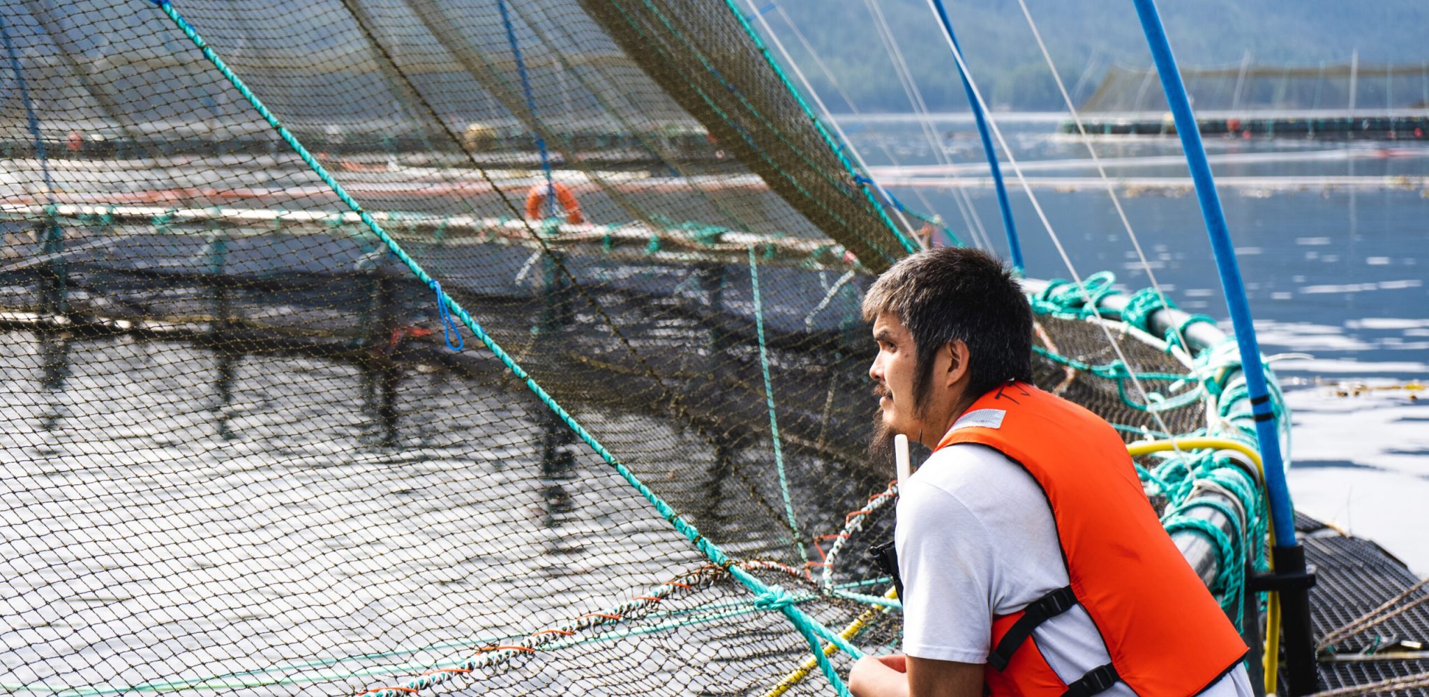 local kitasoo seafoods employee stands on salmon farms and looks out into the distance
