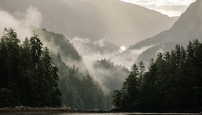 Location: Spirit Bear Lodge / KITASOO XAI’XAIS Territory 
Photographer: Taylor Burk / GoCanada
Usage: All Usage Rights in Perpetuity
